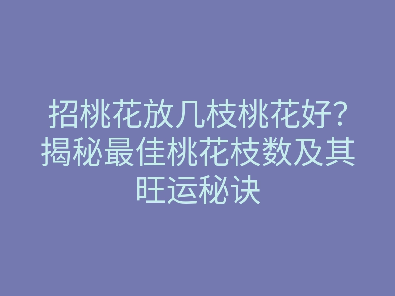 招桃花放几枝桃花好?揭秘最佳桃花枝数及其旺运秘诀