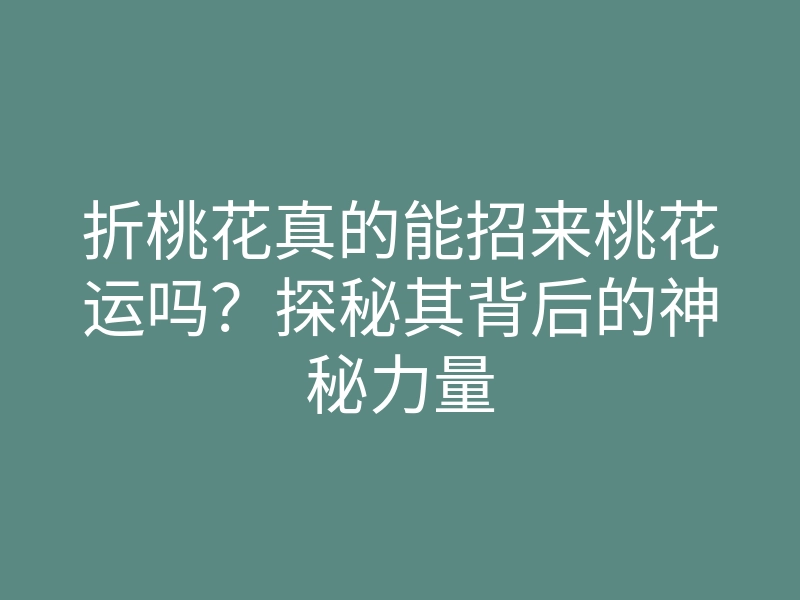 折桃花真的能招来桃花运吗?探秘其背后的神秘力量