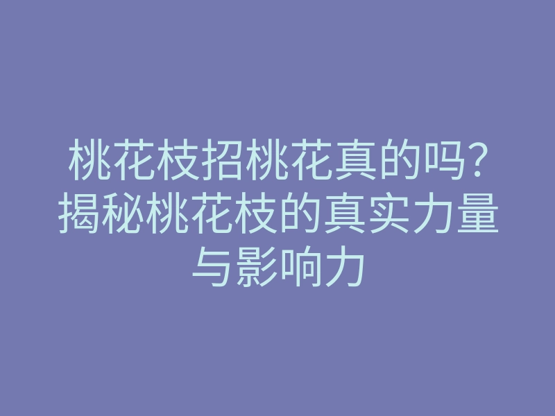 桃花枝招桃花真的吗?揭秘桃花枝的真实力量与影响力