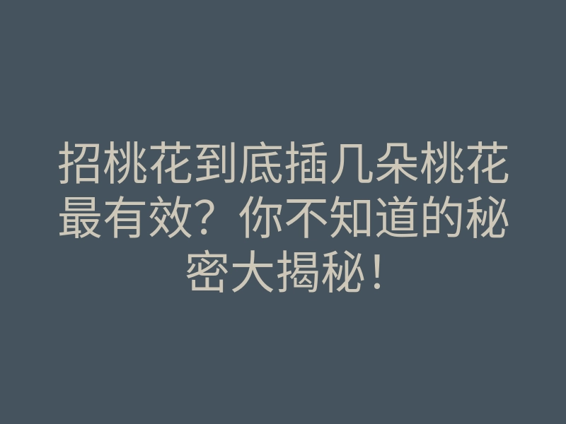 招桃花到底插几朵桃花最有效?你不知道的秘密大揭秘!