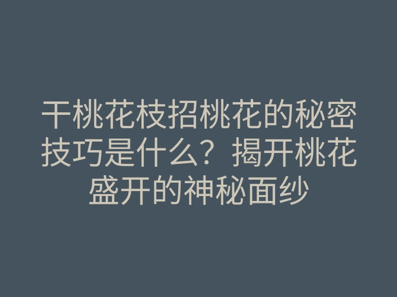 干桃花枝招桃花的秘密技巧是什么?揭开桃花盛开的神秘面纱