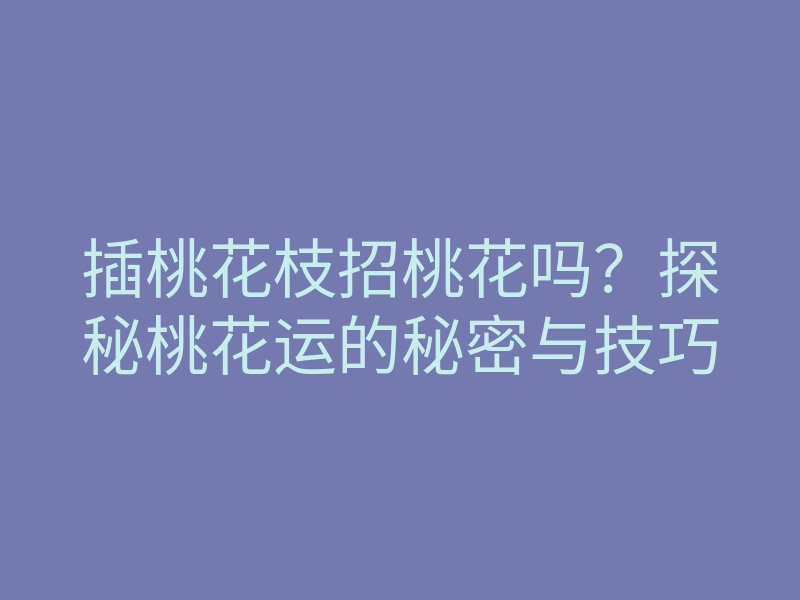 插桃花枝招桃花吗?探秘桃花运的秘密与技巧