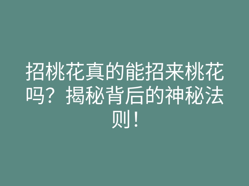 招桃花真的能招来桃花吗?揭秘背后的神秘法则!