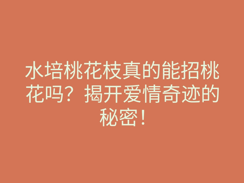 水培桃花枝真的能招桃花吗?揭开爱情奇迹的秘密!