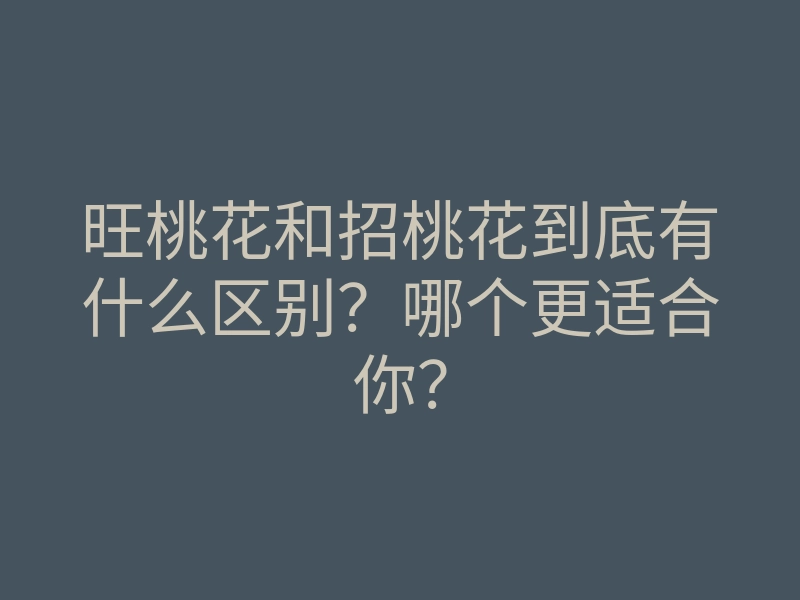 旺桃花和招桃花到底有什么区别?哪个更适合你?