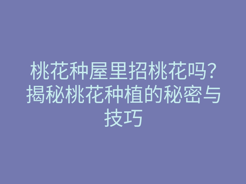 桃花种屋里招桃花吗?揭秘桃花种植的秘密与技巧