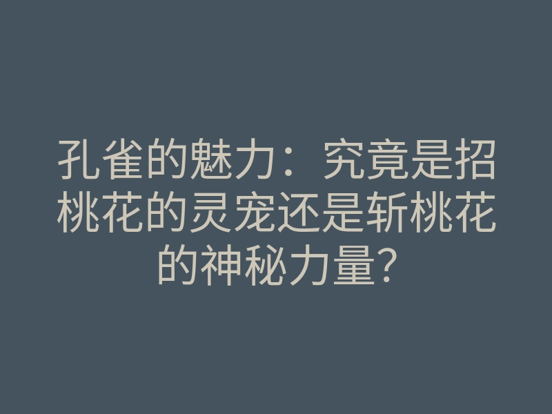 孔雀的魅力:究竟是招桃花的灵宠还是斩桃花的神秘力量?