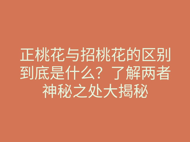 正桃花与招桃花的区别到底是什么?了解两者神秘之处大揭秘