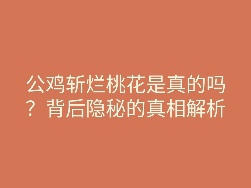 公鸡斩烂桃花是真的吗?背后隐秘的真相解析