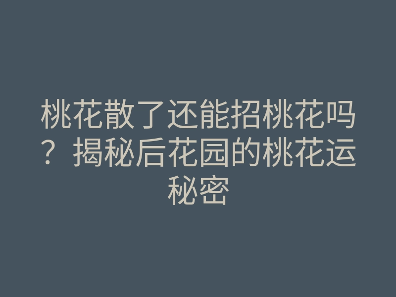 桃花散了还能招桃花吗?揭秘后花园的桃花运秘密