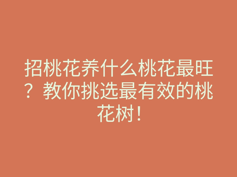 招桃花养什么桃花最旺?教你挑选最有效的桃花树!
