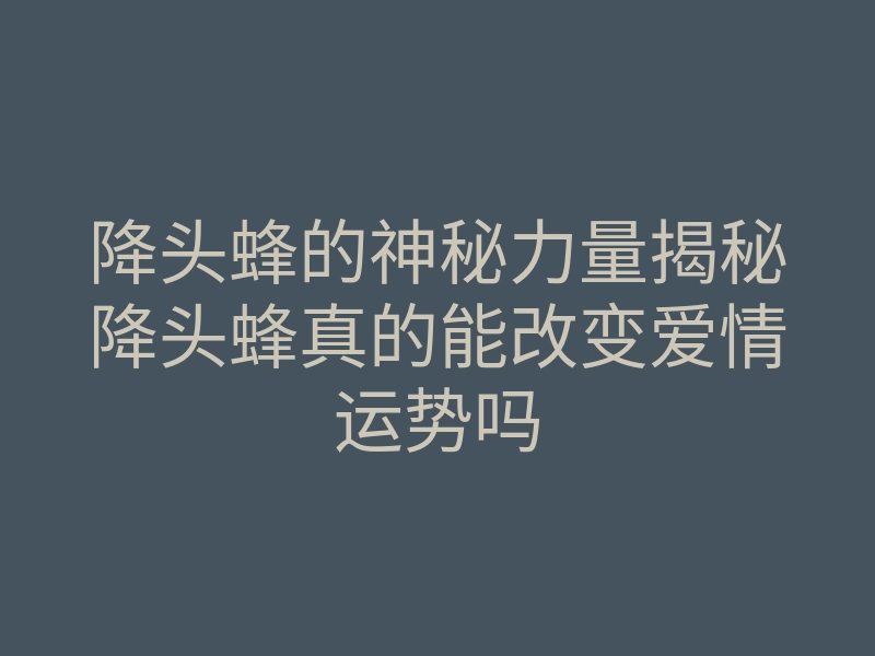 降头蜂的神秘力量揭秘降头蜂真的能改变爱情运势吗