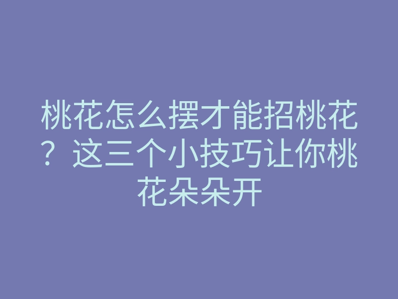 桃花怎么摆才能招桃花？这三个小技巧让你桃花朵朵开