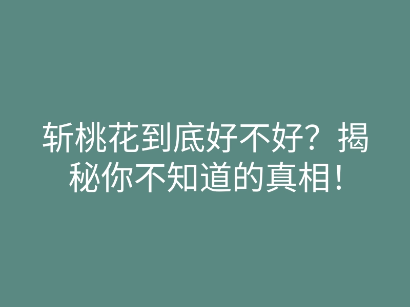 斩桃花到底好不好?揭秘你不知道的真相!