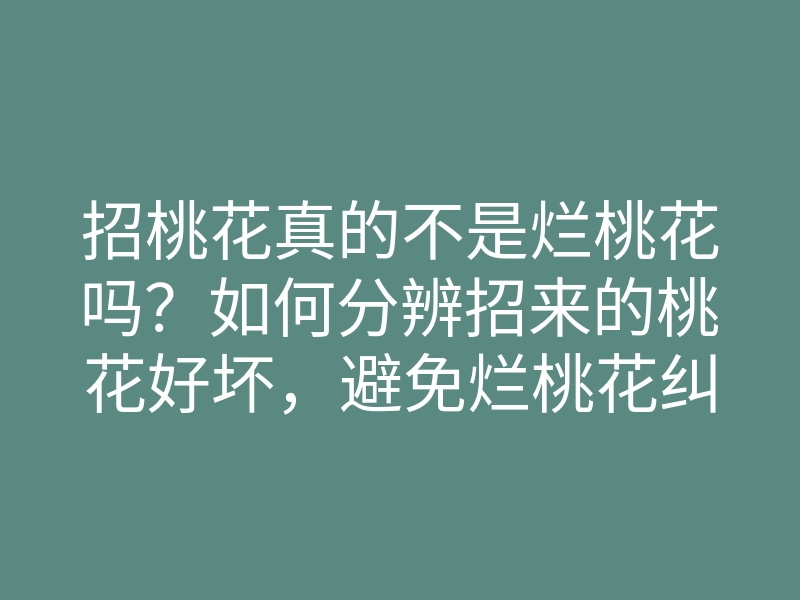 招桃花真的不是烂桃花吗?如何分辨招来的桃花好坏,避免烂桃花纠缠