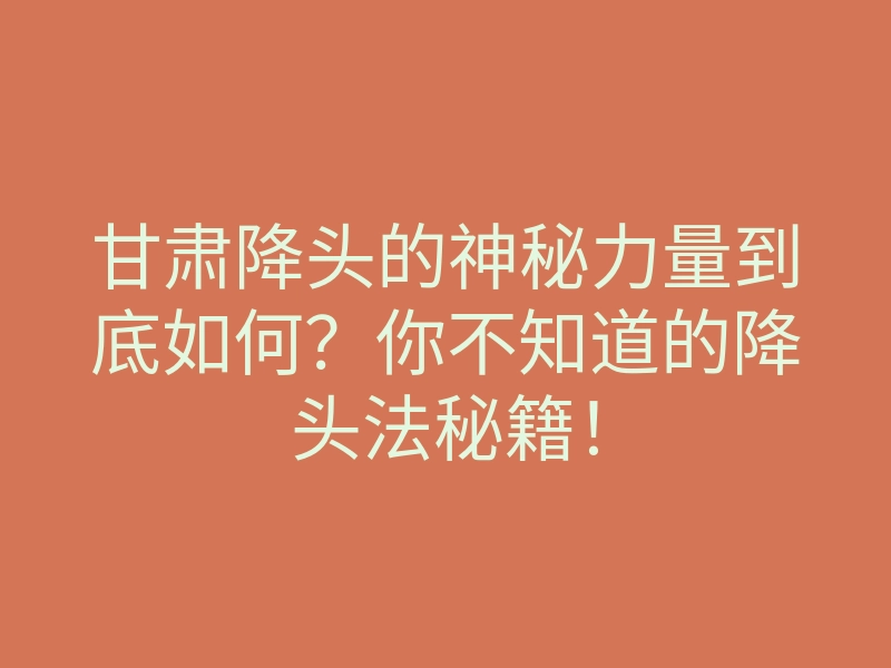 甘肃降头的神秘力量到底如何?你不知道的降头法秘籍!