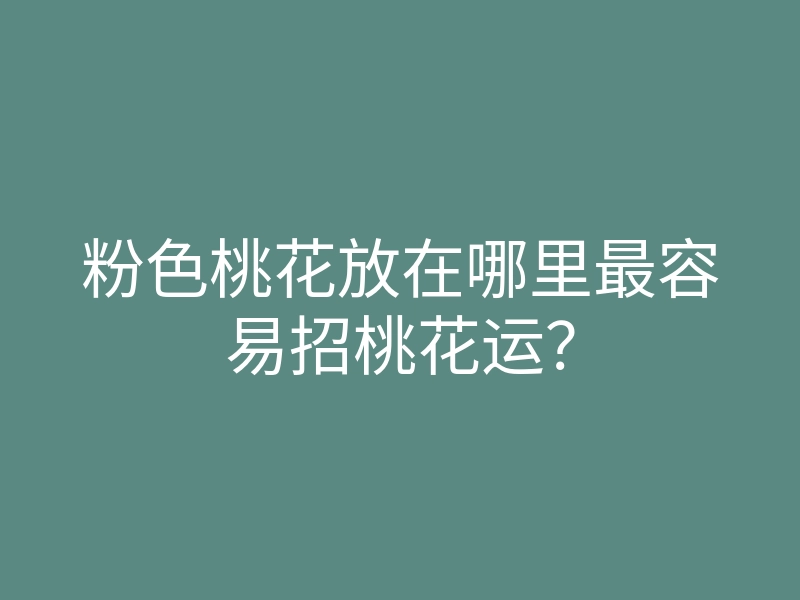 粉色桃花放在哪里最容易招桃花运?