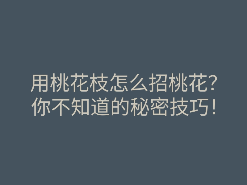 用桃花枝怎么招桃花?你不知道的秘密技巧!