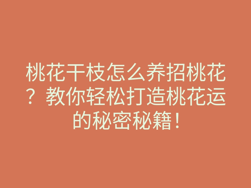 桃花干枝怎么养招桃花?教你轻松打造桃花运的秘密秘籍!