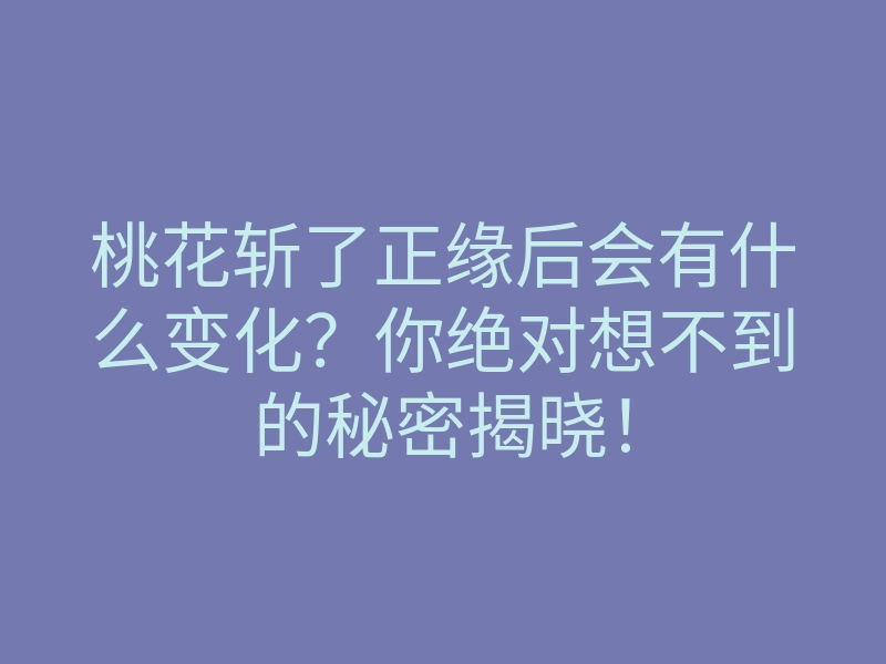 桃花斩了正缘后会有什么变化?你绝对想不到的秘密揭晓!