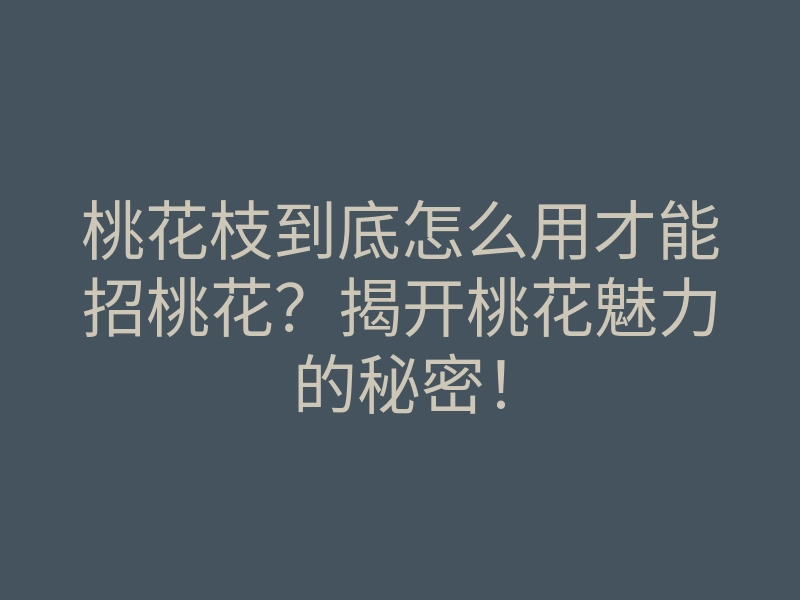 桃花枝到底怎么用才能招桃花?揭开桃花魅力的秘密!