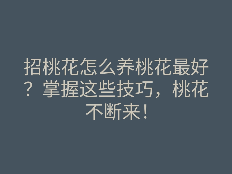 招桃花怎么养桃花最好？掌握这些技巧，桃花不断来！