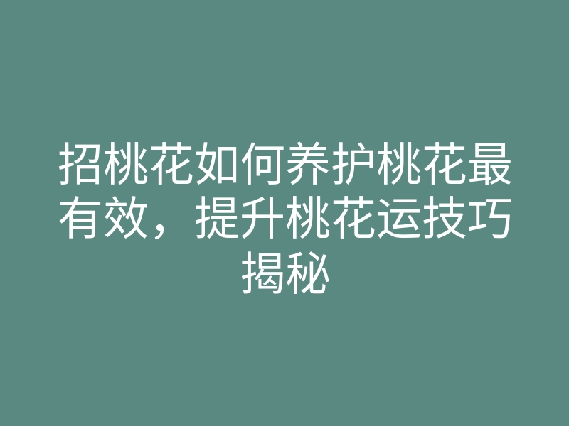 招桃花如何养护桃花最有效，提升桃花运技巧揭秘