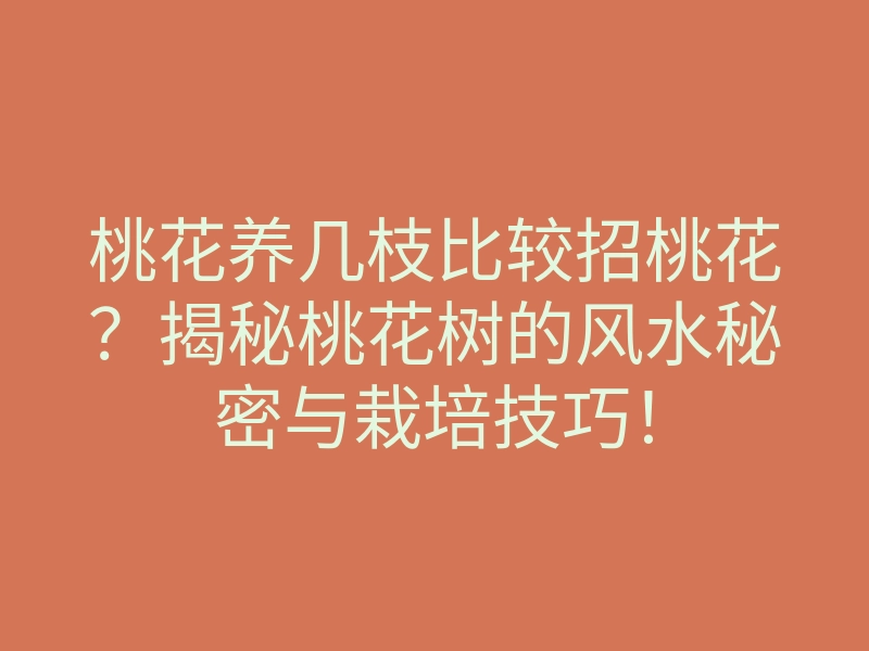 桃花养几枝比较招桃花?揭秘桃花树的风水秘密与栽培技巧!