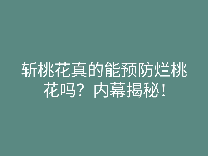 斩桃花真的能预防烂桃花吗？内幕揭秘！