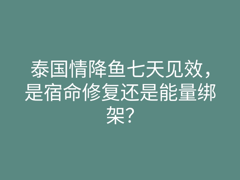 泰国情降鱼七天见效,是宿命修复还是能量绑架?